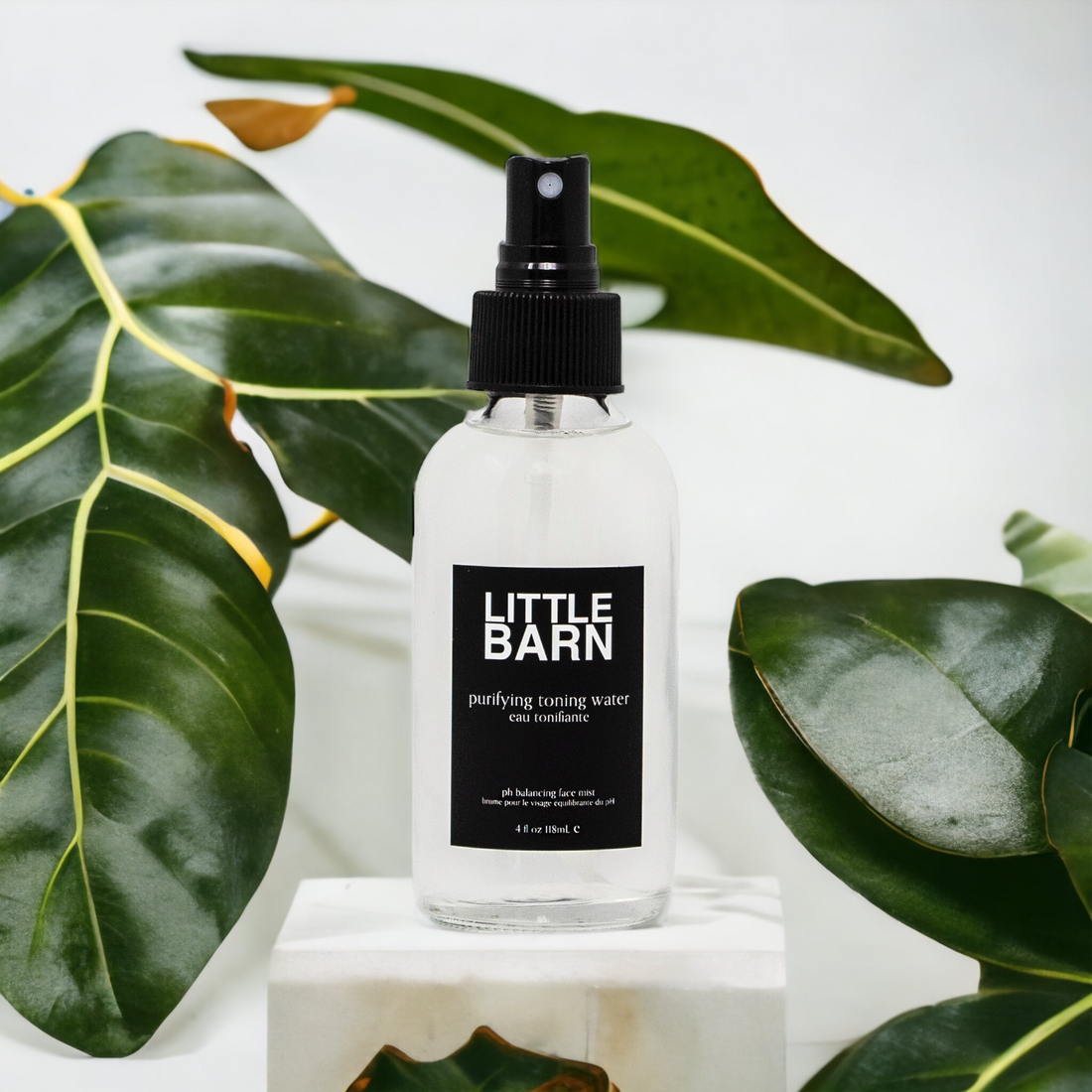 purifying toning water